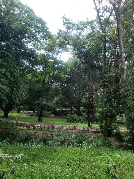 India Trip - July 2010 131.jpg